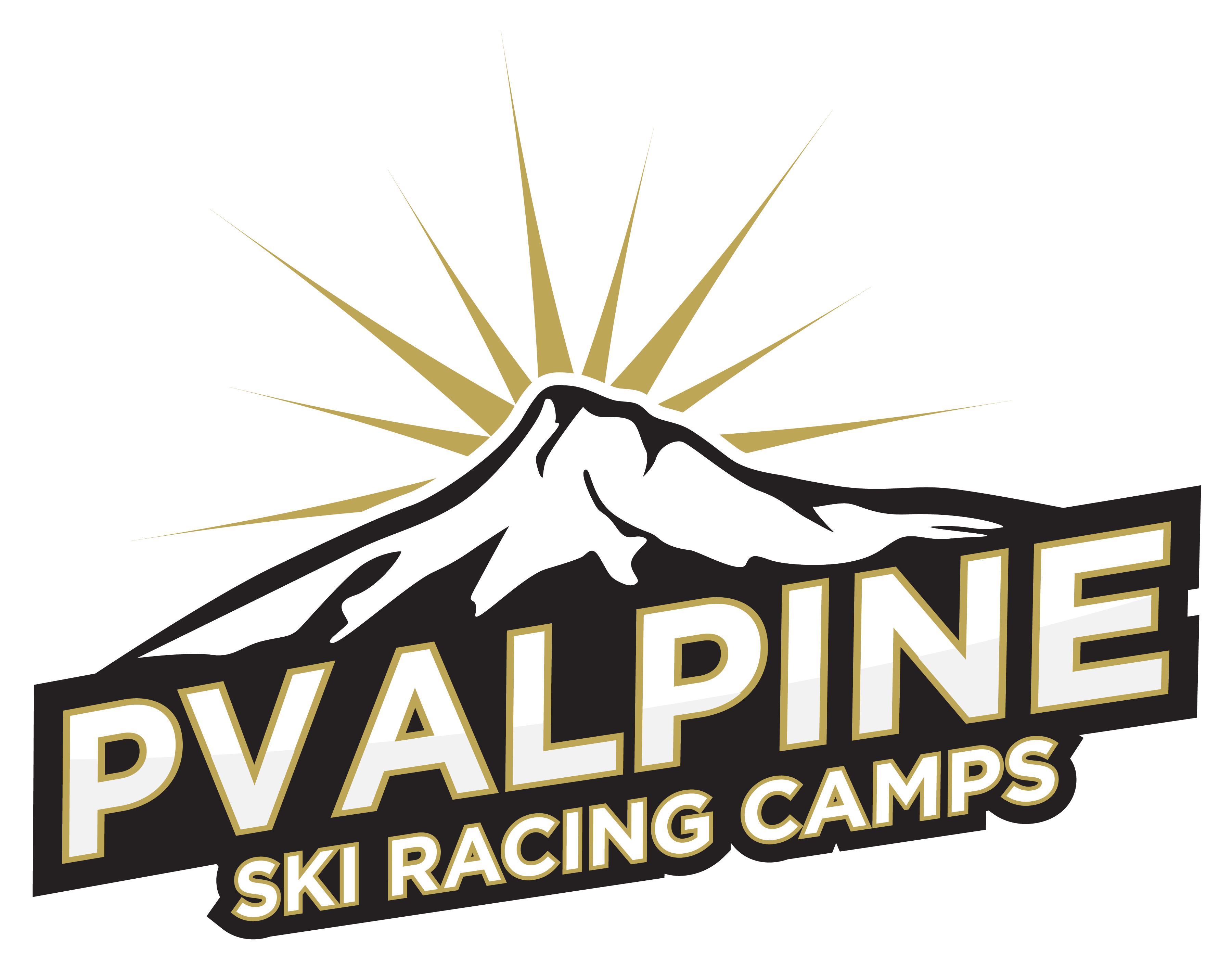 PV Alpine Logo Print